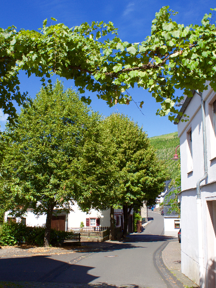 WeinhotelVeldenz-Presentatie-02-022